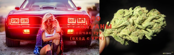 прущая мука Алзамай