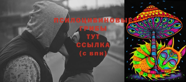 тгк Алексин