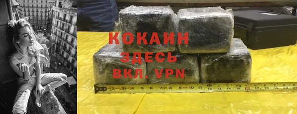 ешки Пересвет