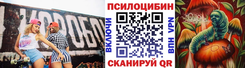 Галлюциногенные грибы Psilocybe  купить наркотик  блэк спрут вход  Сортавала 