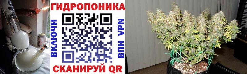 Шишки марихуана LSD WEED  цены   Сортавала 